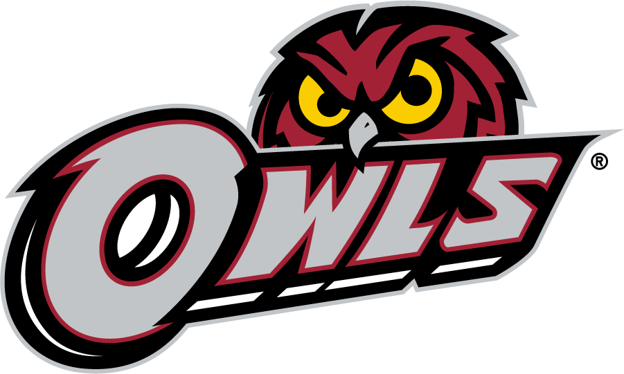 Temple Owls 2014-2020 Secondary Logo v3 iron on transfers for T-shirts